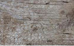 Photo Textures of Wood